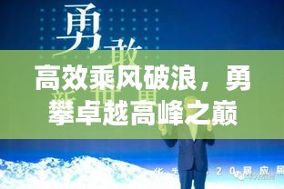 高效乘风破浪，勇攀卓越高峰之巅