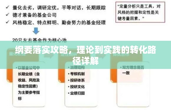 纲要落实攻略，理论到实践的转化路径详解