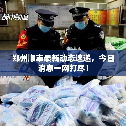 郑州顺丰最新动态速递，今日消息一网打尽！