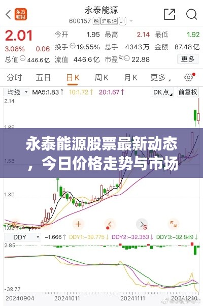 永泰能源股票最新动态，今日价格走势与市场观察分析