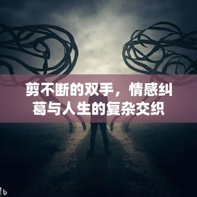 剪不断的双手，情感纠葛与人生的复杂交织