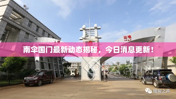 南伞国门最新动态揭秘，今日消息更新！