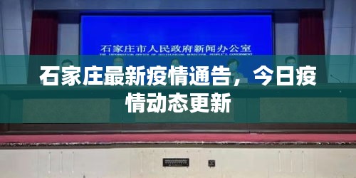 石家庄最新疫情通告，今日疫情动态更新