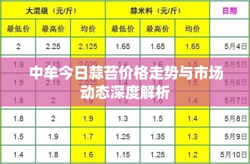 中牟今日蒜苔价格走势与市场动态深度解析