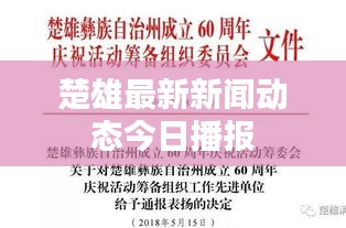 楚雄最新新闻动态今日播报