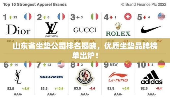 山东省坐垫公司排名揭晓，优质坐垫品牌榜单出炉！