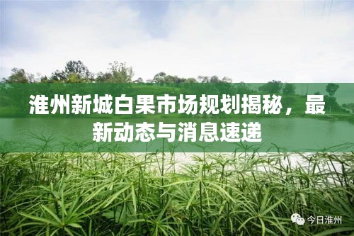 淮州新城白果市场规划揭秘，最新动态与消息速递