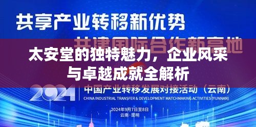 太安堂的独特魅力，企业风采与卓越成就全解析
