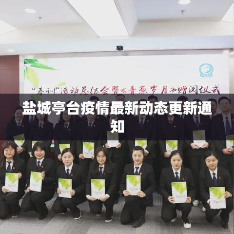 盐城亭台疫情最新动态更新通知