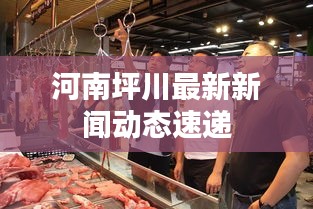 河南坪川最新新闻动态速递