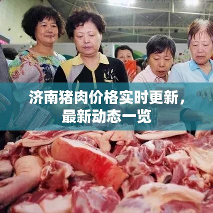 济南猪肉价格实时更新，最新动态一览