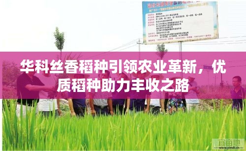2025年6月 第115页