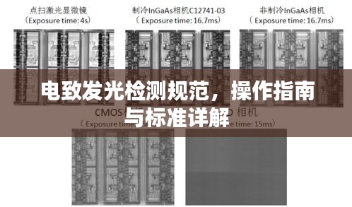 交货现场 第17页