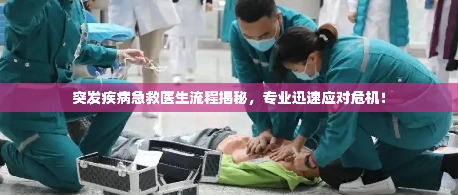 2025年6月 第108页
