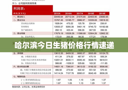 交货现场 第15页