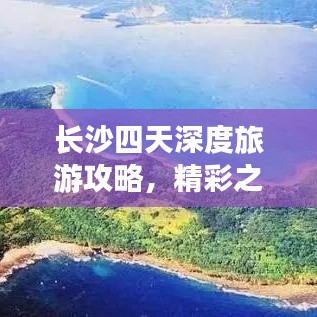 交货现场 第13页