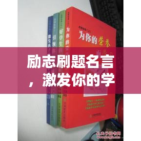 秀外慧中