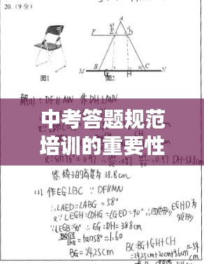 纲挈目张