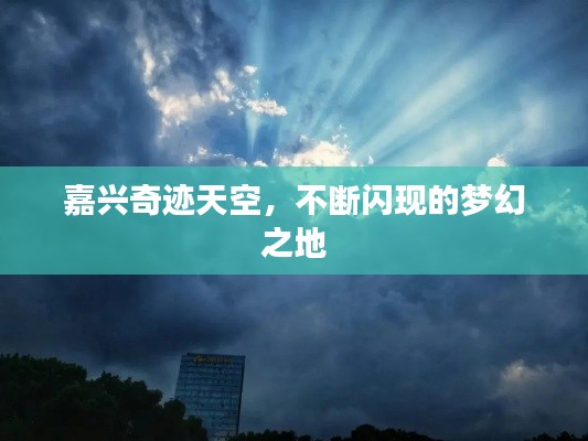 百不得一