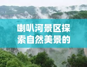 眉清目秀
