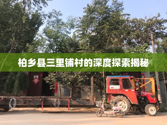 张灯结彩