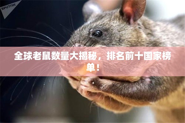 2025年6月 第8页