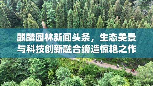 2025年6月 第7页