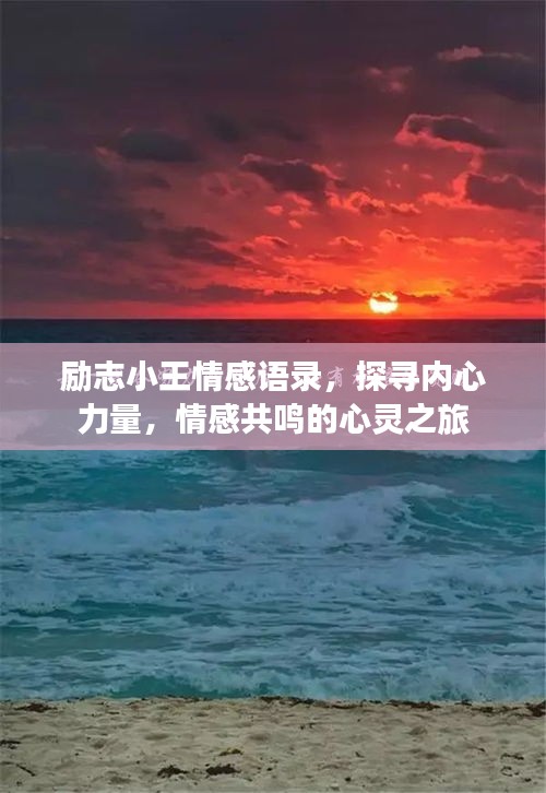 2025年6月 第5页